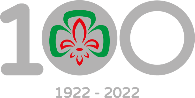 Logo centenario